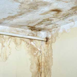 Mold On Ceiling
